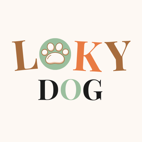 Loky Dog